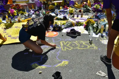 DSC_7137 (Large).JPG